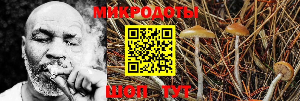 Галлюциногенные грибы прущие грибы Осинники